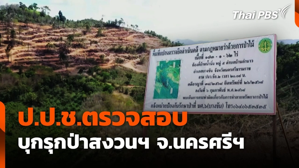 ป.ป.ช.ตรวจสอบ บุกรุกป่าสงวนฯ จ.นครศรีฯ