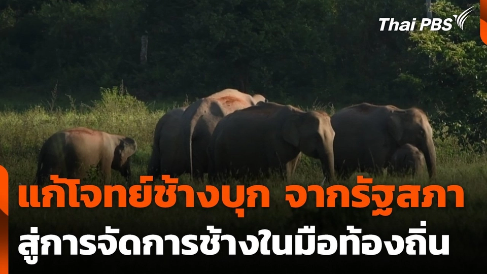 แก้โจทย์ช้างบุก จากรัฐสภาสู่การจัดการช้างในมือท้องถิ่น