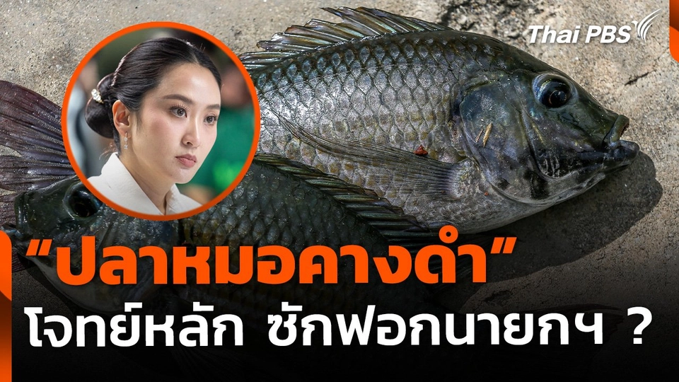 เก็งโจทย์ "ปลาหมอคางดำ" ซักฟอกนายกฯ พิสูจน์ฝีมือแก้ปัญหา