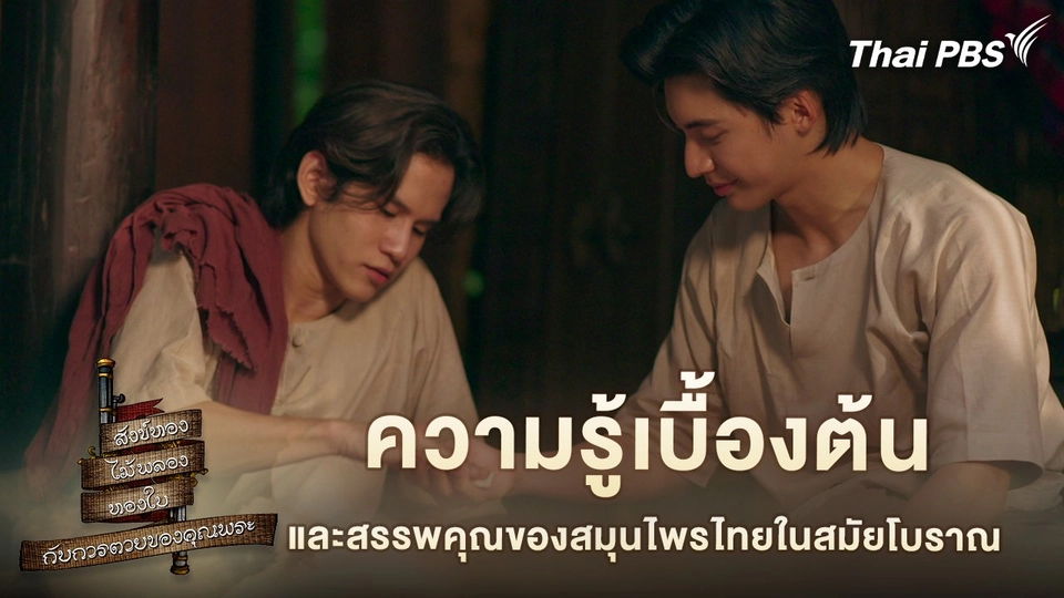 ความรู้เบื้องต้น และสรรพคุณของสมุนไพรไทยในสมัยโบราณ