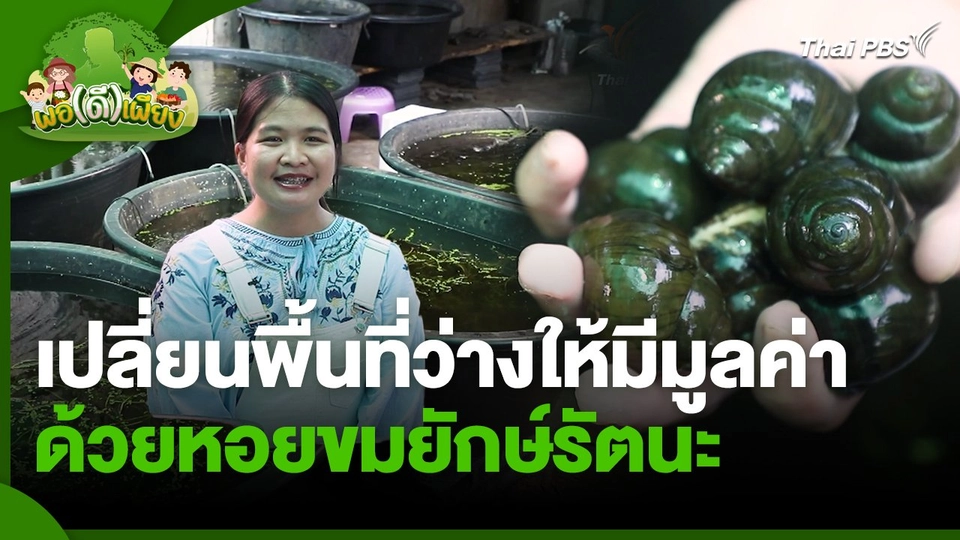 พอดีพอเพียง : เปลี่ยนพื้นที่ว่างให้มีมูลค่าด้วยหอยขมยักษ์รัตนะ