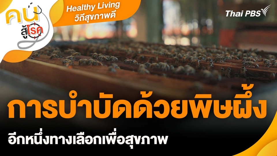 Healthy Living วิถีสุขภาพดี : การบำบัดด้วยพิษผึ้ง อีกหนึ่งทางเลือกเพื่อสุขภาพ