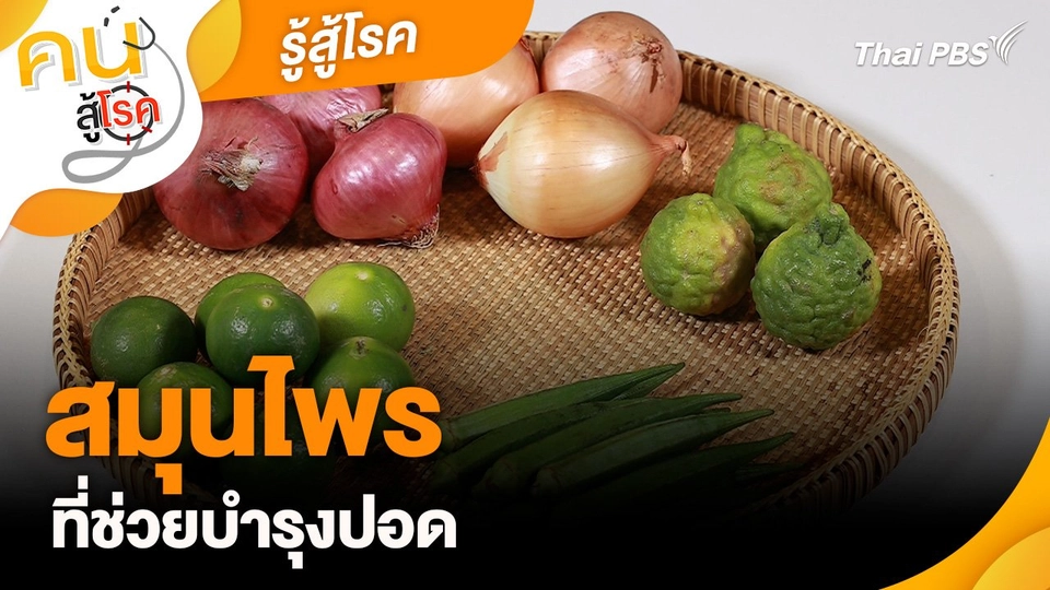 รู้สู้โรค : สมุนไพรที่ช่วยบำรุงปอด