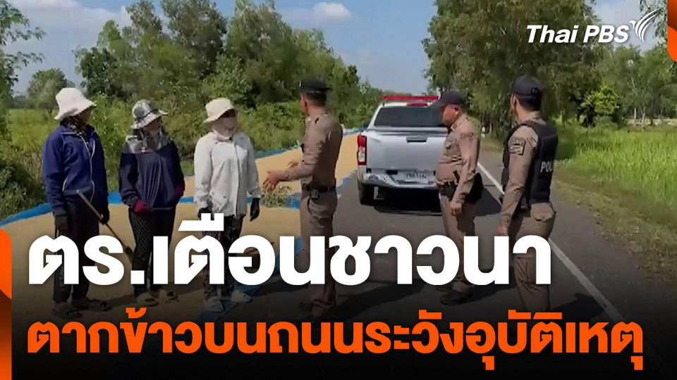 ตร.เตือนชาวนา ตากข้าวบนถนนระวังอุบัติเหตุ