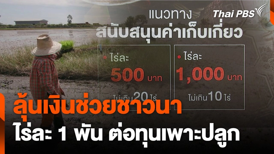 ลุ้นเงินช่วยชาวนาไร่ละ 1 พัน ต่อทุนเพาะปลูก