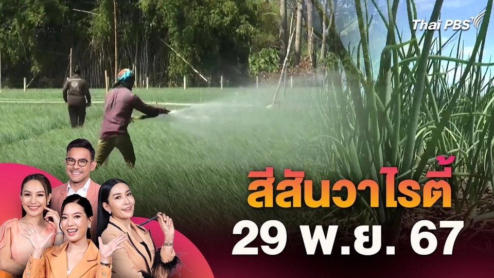 สีสันวาไรตี้ (29 พ.ย. 67)