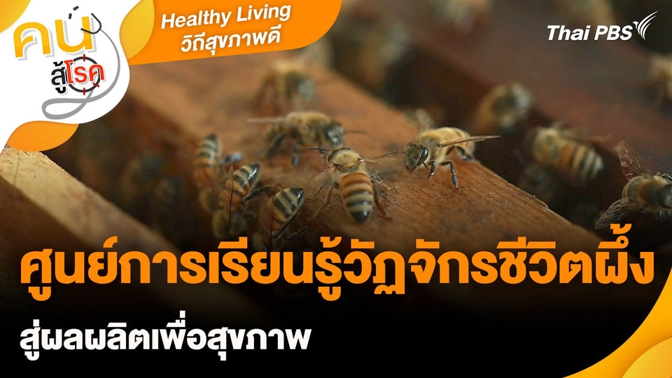 Healthy Living วิถีสุขภาพดี : ศูนย์การเรียนรู้วัฏจักรชีวิตผึ้ง สู่ผลผลิตเพื่อสุขภาพ