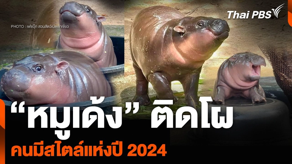 “หมูเด้ง” ติดโผคนมีสไตล์แห่งปี 2024 ของ New York Times