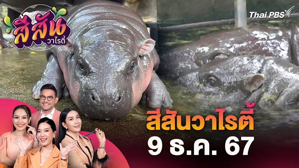 สีสันวาไรตี้ (9 ธ.ค. 67)