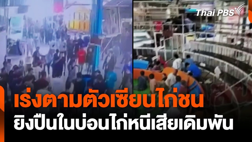 เร่งตามตัวเซียนไก่ชน ยิงปืนในบ่อนไก่หนีเสียเดิมพัน