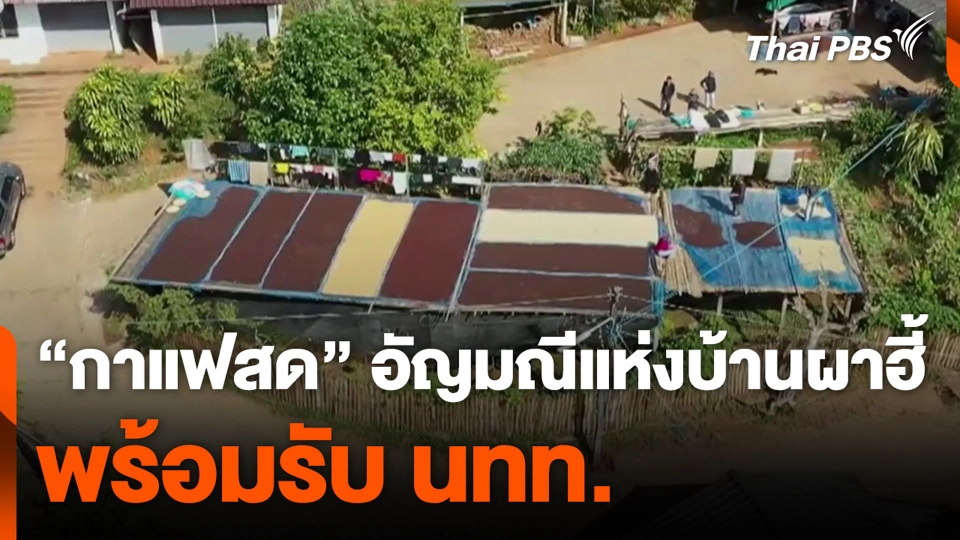 “กาแฟสด” อัญมณีแห่งบ้านผาฮี้ พร้อมรับ นทท.mp4