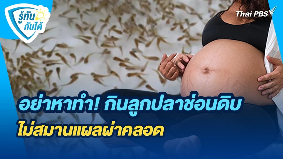 รู้ทันกันได้ : อย่าหาทำ! กินลูกปลาช่อนดิบ ไม่สมานแผลผ่าคลอด