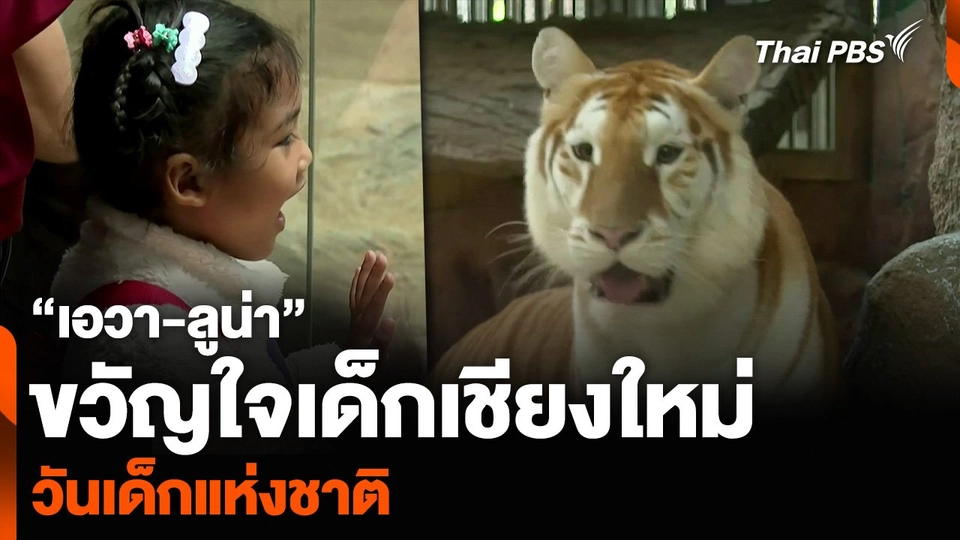 “เอวา-ลูน่า” ขวัญใจเด็กเชียงใหม่ “วันเด็กแห่งชาติ”