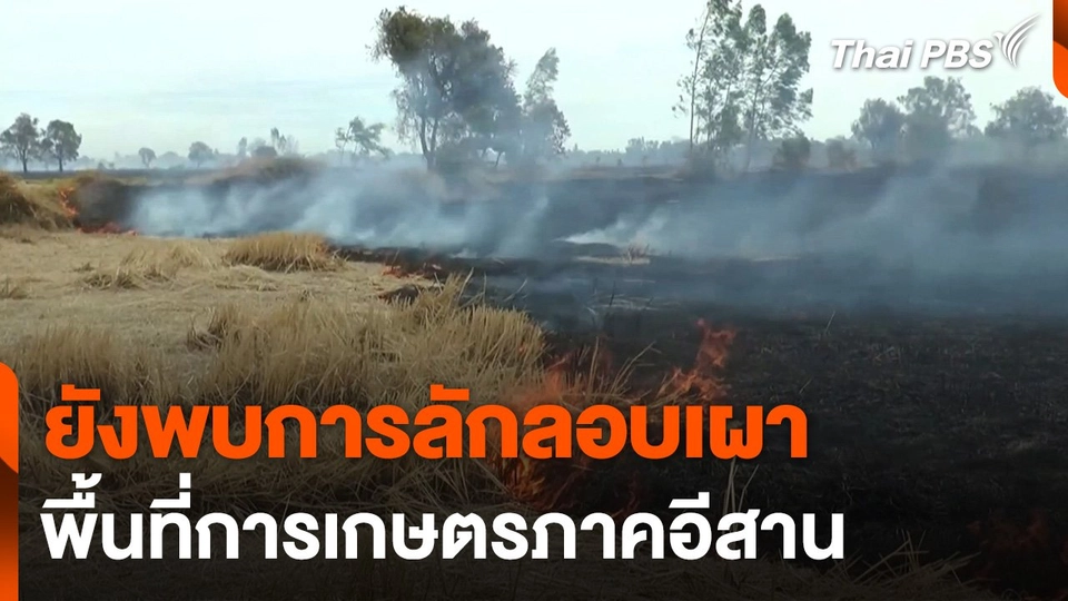 ยังพบการลักลอบเผาพื้นที่การเกษตรภาคอีสาน