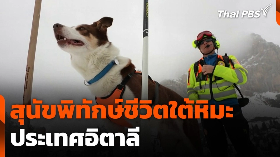 สุนัขพิทักษ์ชีวิตใต้หิมะ ประเทศอิตาลี