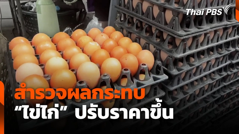 สำรวจผลกระทบ "ไข่ไก่" ปรับราคาขึ้น