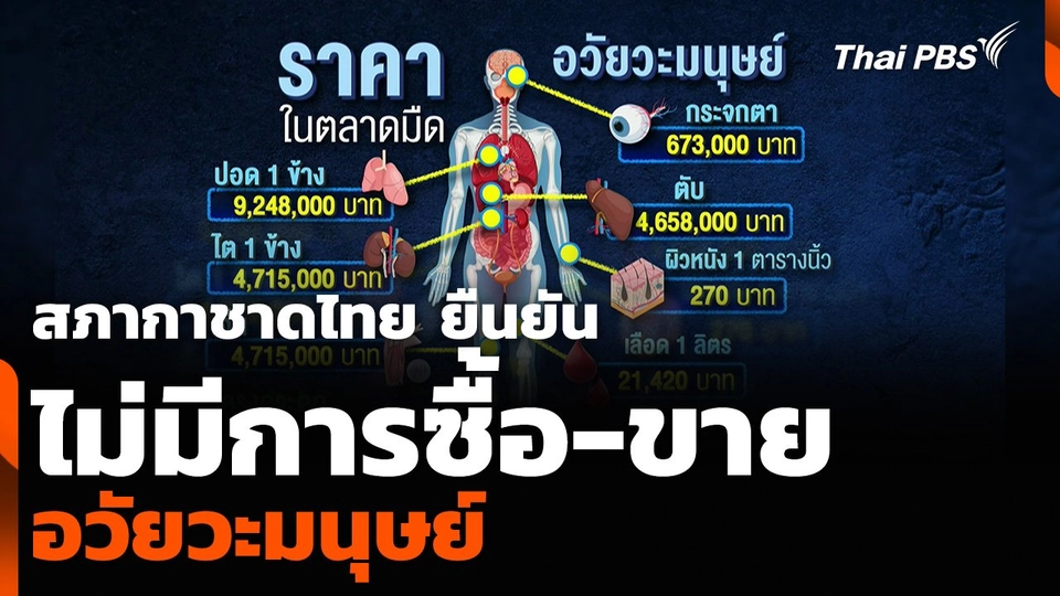 สภากาชาดไทย ยืนยันไม่มีการซื้อ-ขายอวัยวะมนุษย์