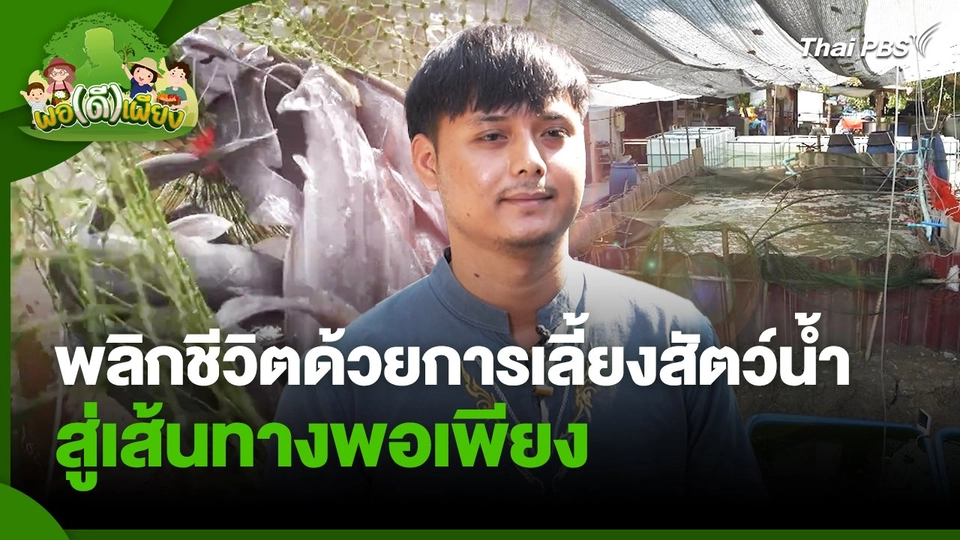 พอดีพอเพียง : พลิกชีวิตด้วยการเลี้ยงสัตว์น้ำสู่เส้นทางพอเพียง