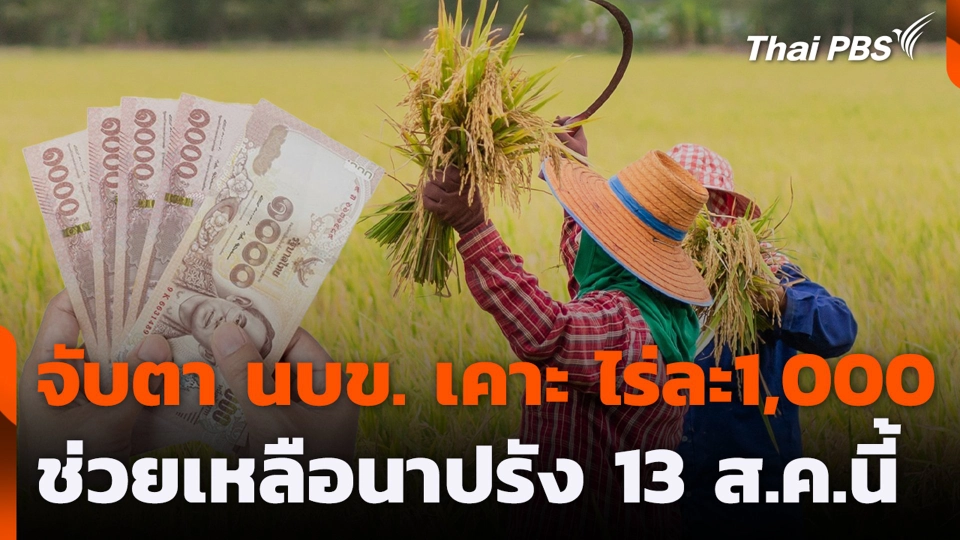 จับตา นบข. เคาะ ไร่ละ1,000 ช่วยเหลือนาปรัง 13 ส.ค.นี้