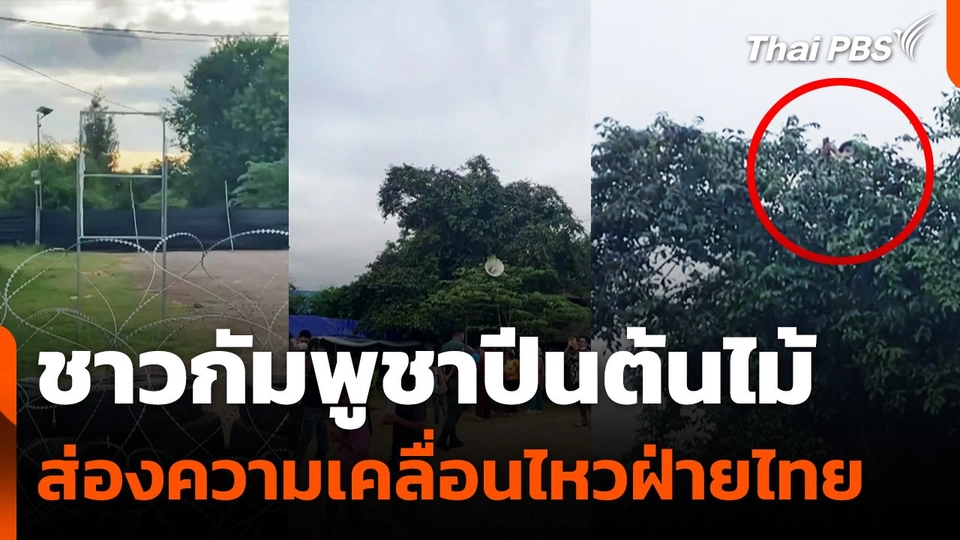 ชาวกัมพูชาปีนต้นไม้ส่องความเคลื่อนไหวฝ่ายไทย จ.สระแก้ว