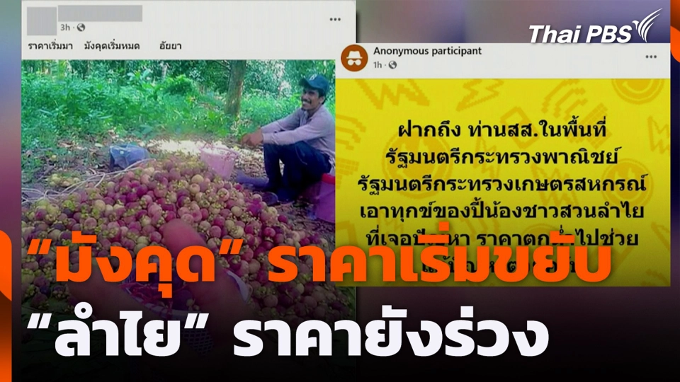"มังคุด" ราคาเริ่มขยับ "ลำไย" ราคายังร่วง