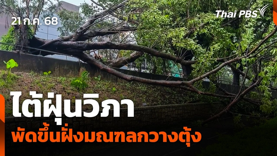 "ไต้ฝุ่นวิภา" พัดขึ้นฝั่งมณฑลกวางตุ้ง ตอนใต้ของจีน