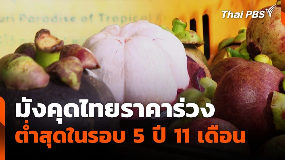 มังคุดไทยราคาร่วง ต่ำสุดในรอบ 5 ปี 11 เดือน