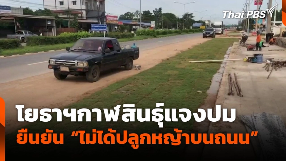 โยธาฯกาฬสินธุ์แจงปมยืนยัน "ไม่ได้ปลูกหญ้าบนถนน"