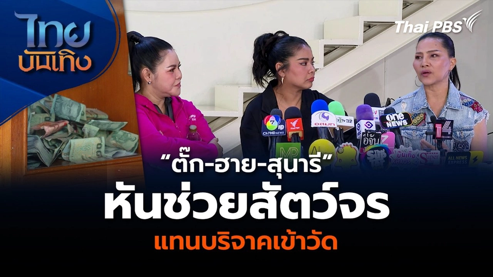 “ตั๊ก-ฮาย-สุนารี” หันช่วยสัตว์จร แทนบริจาคเข้าวัด