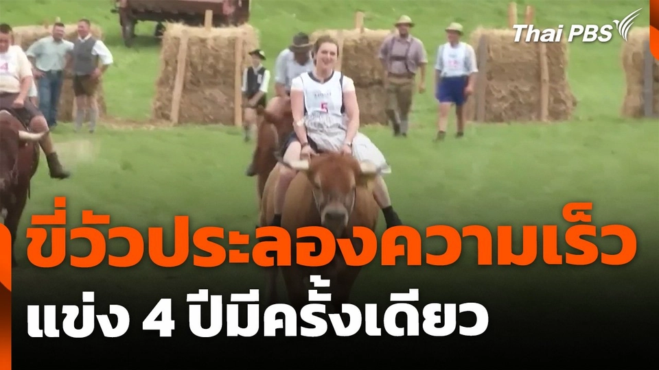 แข่งขี่วัวประลองความเร็ว ประเทศเยอรมนี