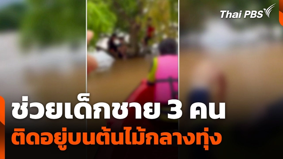 ช่วยเด็กชาย 3 คน ติดอยู่บนต้นไม้กลางทุ่ง