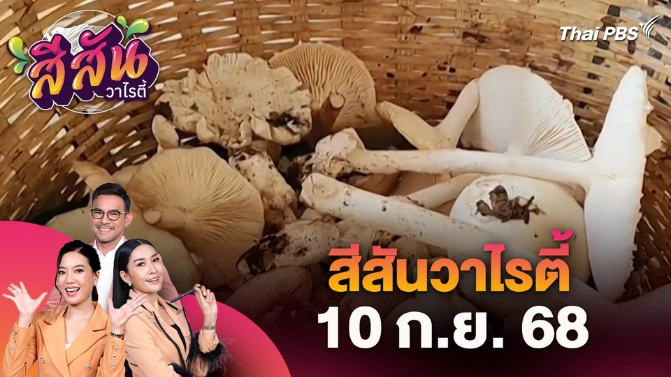 สีสันวาไรตี้ (10 ก.ย. 68)
