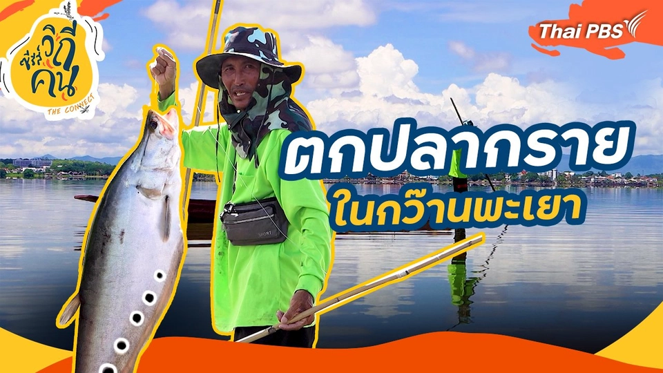 ช็อตเด็ด ซีรีส์วิถีคน : ตกปลากรายในกว๊านพะเยา