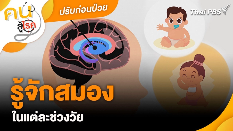 ปรับก่อนป่วย : รู้จักสมองในแต่ละช่วงวัย