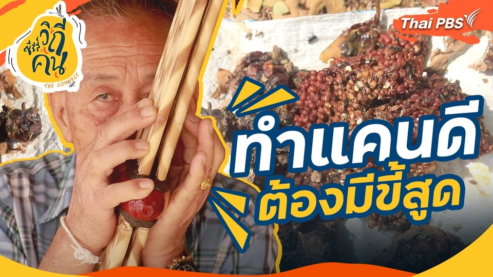 ทำแคนดี ต้องมีขี้สูด