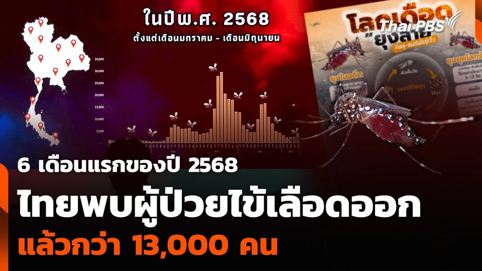 6 เดือนแรกของปี 2568 ไทยพบผู้ป่วยไข้เลือดออกแล้วกว่า 13,000 คน