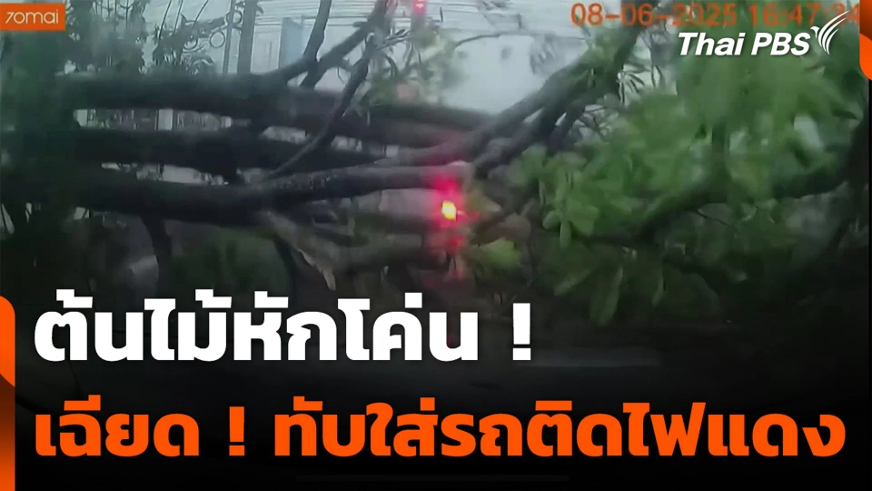 ต้นไม้หักโค่น ! เฉียด ! ทับใส่รถติดไฟแดง