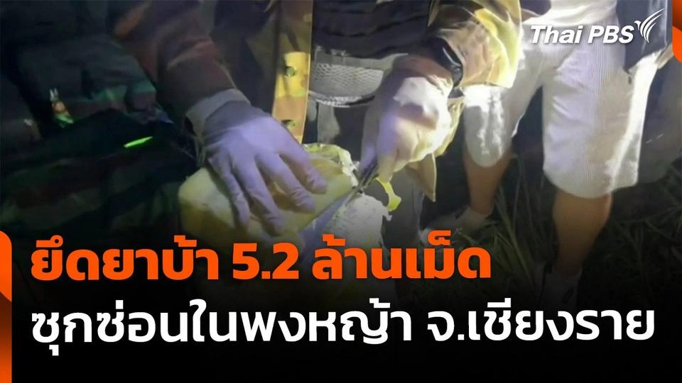 ยึดยาบ้า 5.2 ล้านเม็ด ซุกซ่อนในพงหญ้า