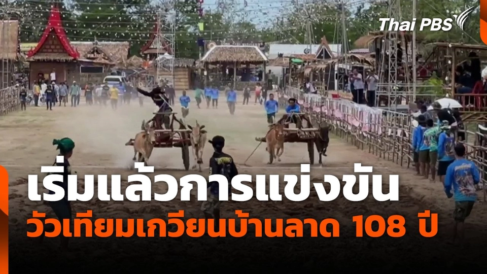 เริ่มแล้วการแข่งขัน วัวเทียมเกวียนบ้านลาด 108 ปี