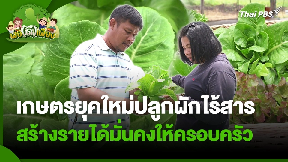 พอดีพอเพียง : เกษตรยุคใหม่ปลูกผักไร้สาร สร้างรายได้มั่นคงให้ครอบครัว