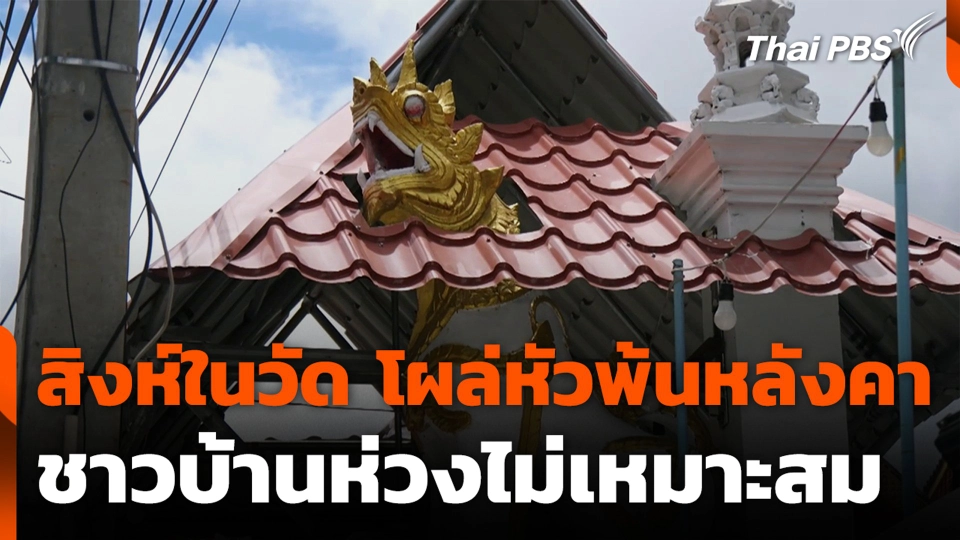 สิงห์ในวัด โผล่หัวพ้นหลังคา ชาวบ้านห่วงไม่เหมาะสม