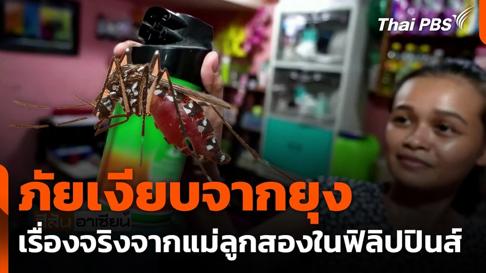 ภัยเงียบจากยุง เรื่องจริงจากแม่ลูกสองในฟิลิปปินส์