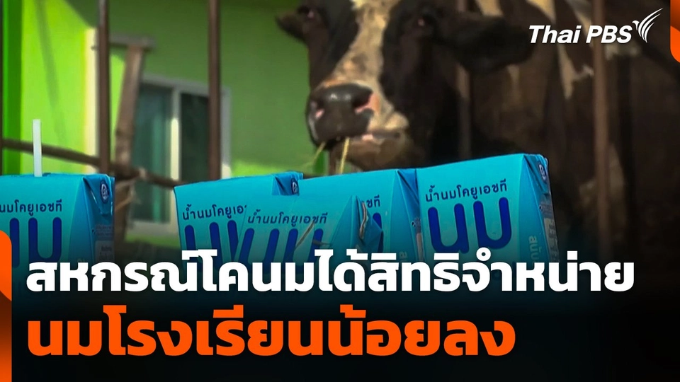 สหกรณ์โคนมได้สิทธิจำหน่ายนมโรงเรียนน้อยลง