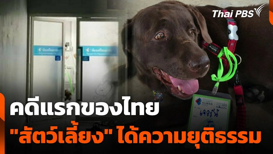คดีแรกของไทย "สัตว์เลี้ยง" ได้ความยุติธรรม