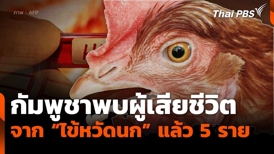 กัมพูชาพบผู้เสียชีวิตจาก "ไข้หวัดนก" แล้ว 5 คน