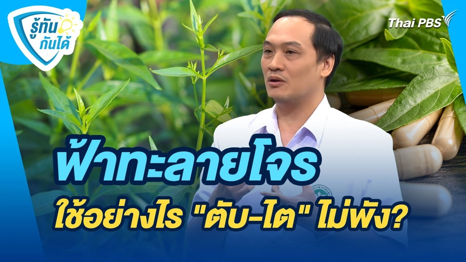 รู้ทันกันได้ : ฟ้าทะลายโจร ใช้อย่างไร "ตับ-ไต" ไม่พัง?