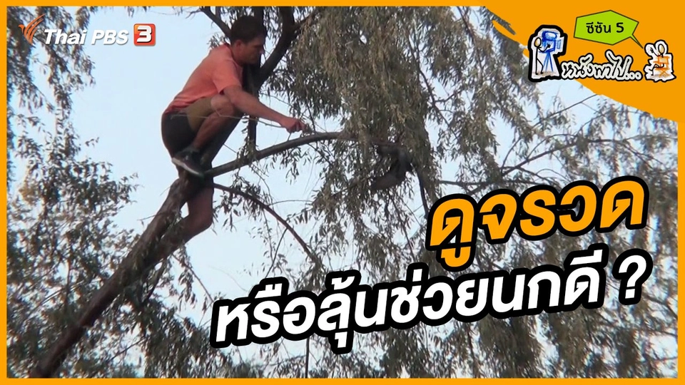 ช็อตเด็ด บอล - ยอด ซีซัน 5 : ดูจรวด หรือลุ้นช่วยนกดี ?