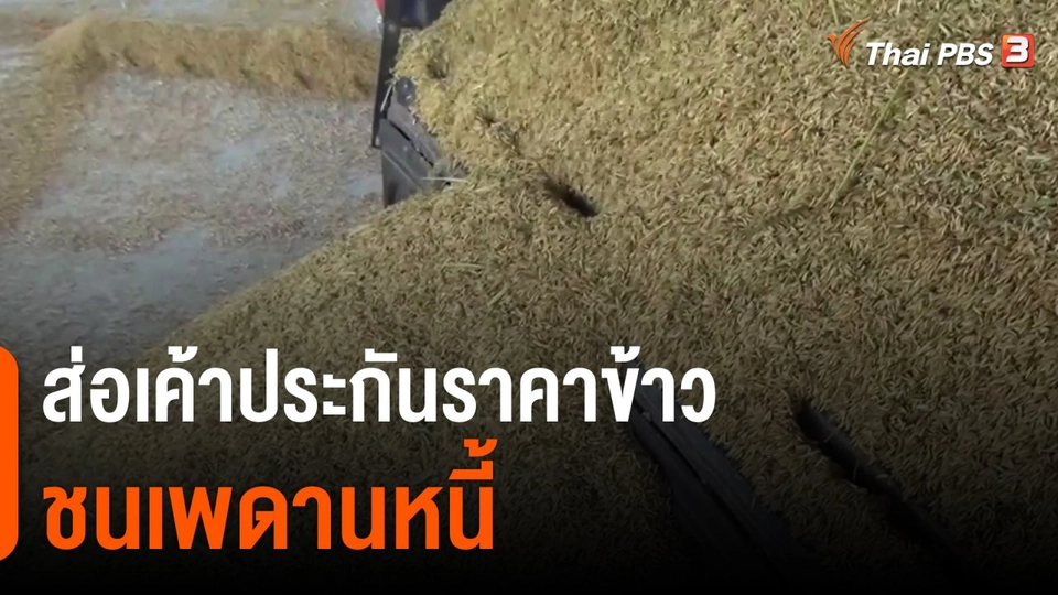ส่อเค้าประกันราคาข้าวชนเพดานหนี้