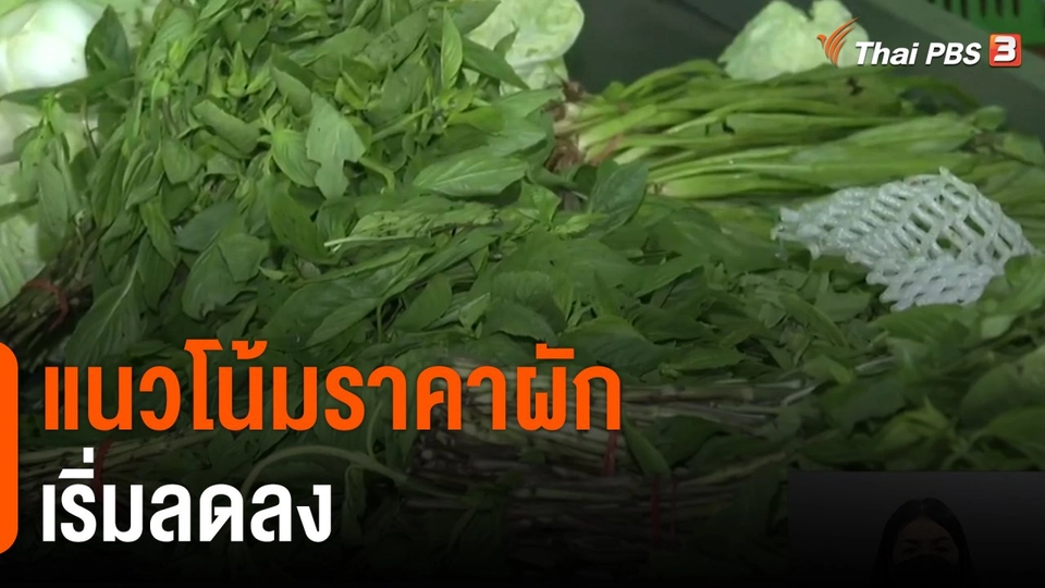 จับสัญญาณเศรษฐกิจ : แนวโน้มราคาผักเริ่มลดลง