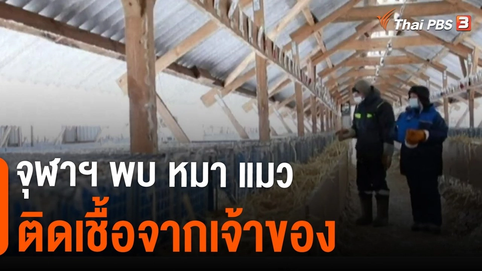 ​จุฬาฯ พบ หมา-แมว ติดเชื้อจากเจ้าของ